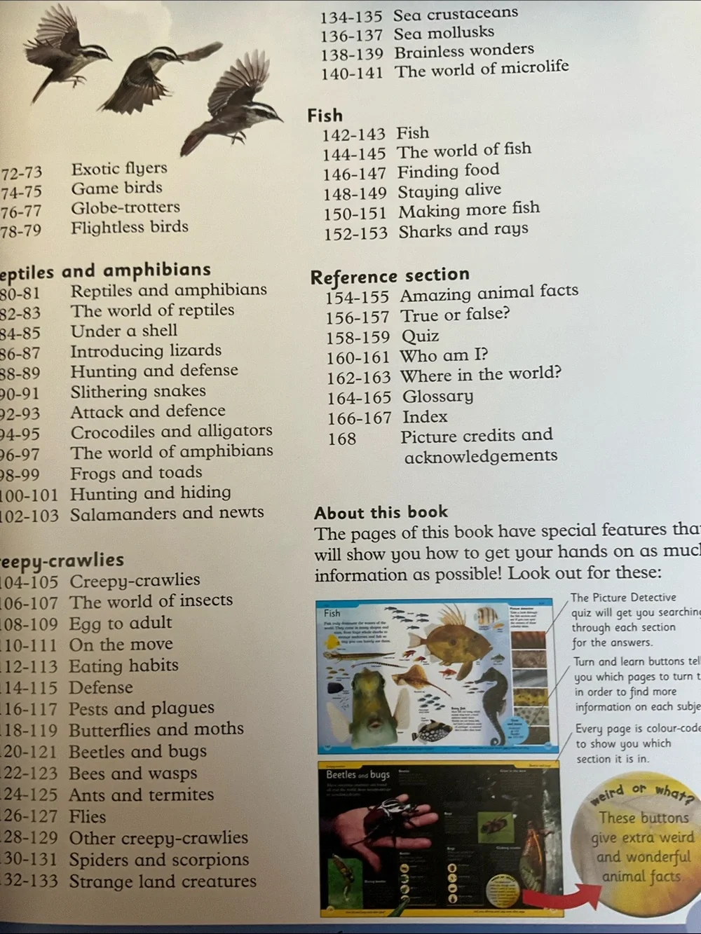 First Animal Encyclopedia - NWT